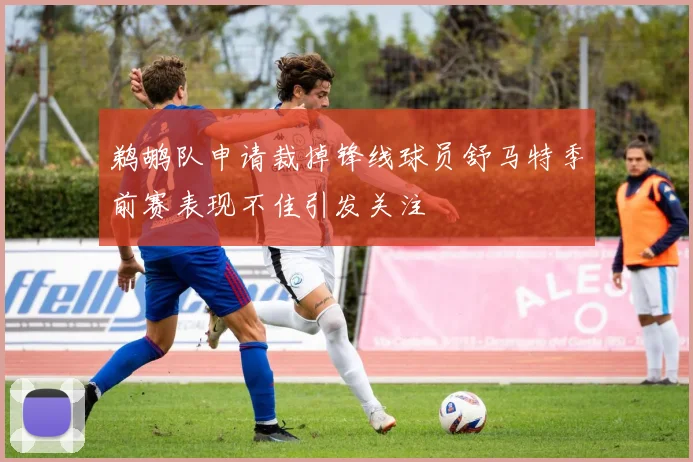 鹈鹕队申请裁掉锋线球员舒马特季前赛表现不佳引发关注