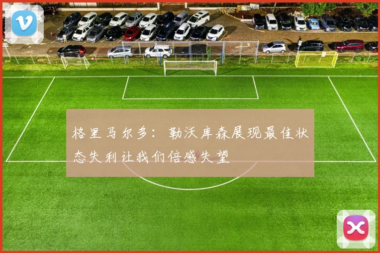 格里马尔多：勒沃库森展现最佳状态失利让我们倍感失望