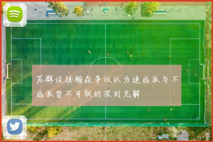 苏群谈杨瀚森争议认为速成派与不成派皆不可取的深刻见解