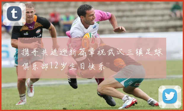 携手共进迎新篇章祝武汉三镇足球俱乐部12岁生日快乐