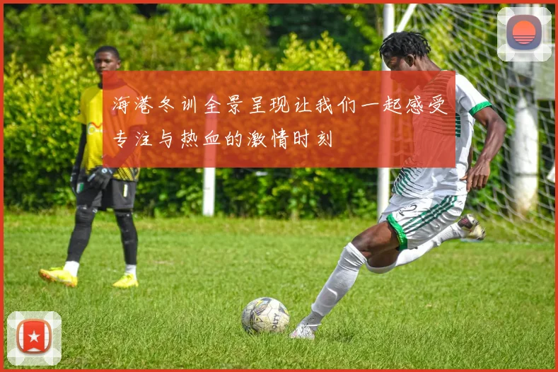 海港冬训全景呈现让我们一起感受专注与热血的激情时刻